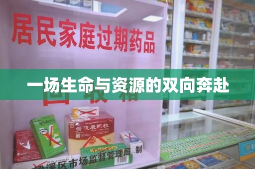 安阳一场生命与资源的双向奔赴