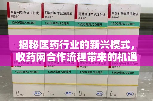 安阳揭秘医药行业的新兴模式，收药网合作流程带来的机遇与挑战