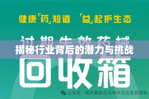 安阳揭秘行业背后的潜力与挑战