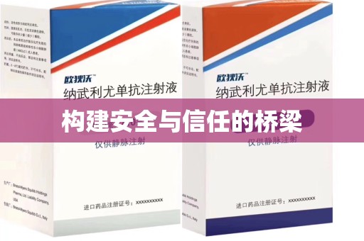 安阳构建安全与信任的桥梁