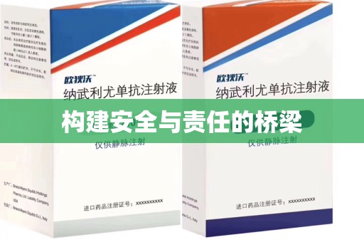 安阳构建安全与责任的桥梁
